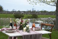 Rosé-Themed Glamping Experiences Image 6
