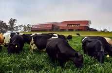 State-of-the-Art Robotic Dairy Farms