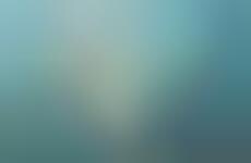 Next-Gen Aviation Simulators