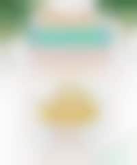 Spicy Mango Frozen Yogurts Image 1