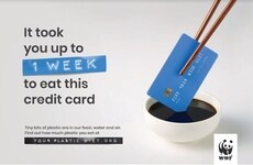 Anti-Plastic Consumption Campaigns