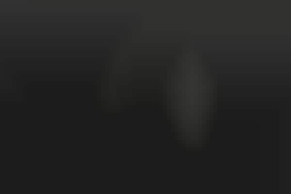 Darkly Demure Designer Computers