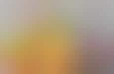 Tangy Dragon Fruit Sorbets