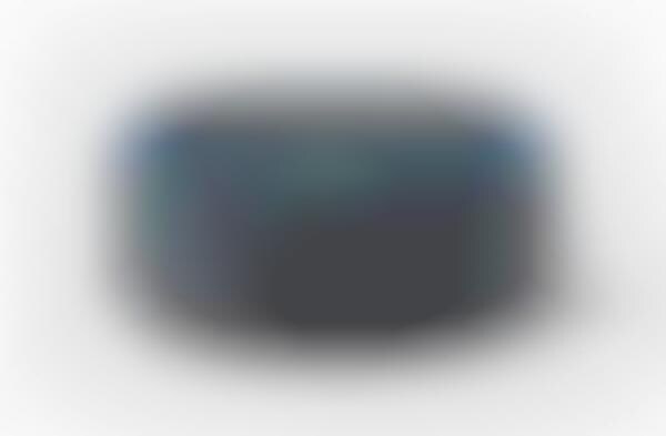 Telecom Voice Assistant Calls