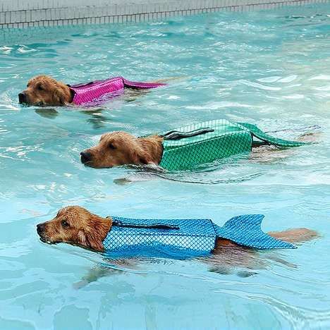 Pooch-Friendly Floatation Devices