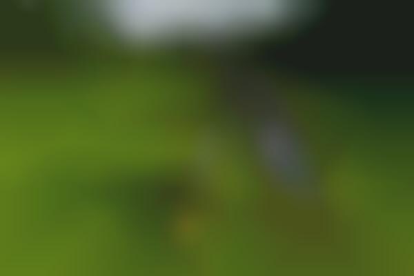 Intelligent Navigation Golf Caddies