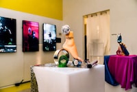 Pop-Up Plastic Museums Image 2