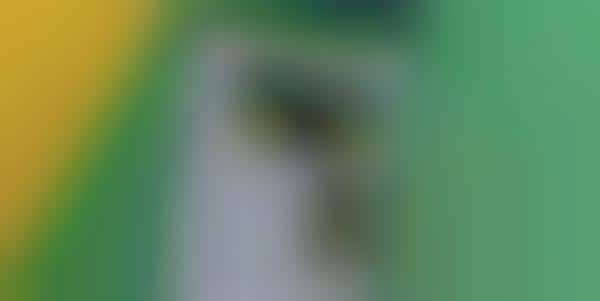 Messaging App Video Functions