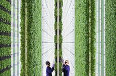 Flavor-Focused Vertical Farms