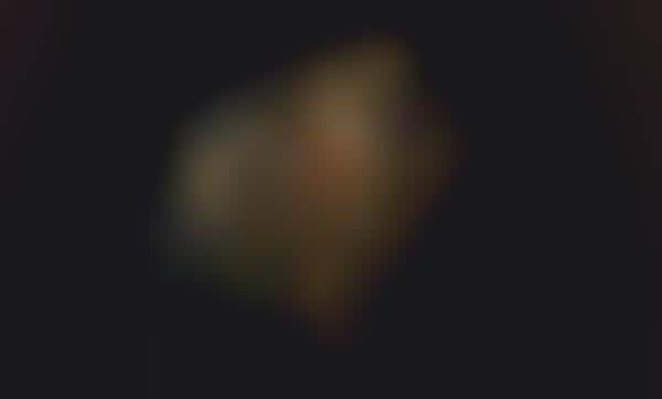 Jewel-Encrusted Champagne Bottles