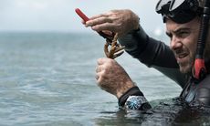 Reef Restoration-Supporting Watches Article Thubnail