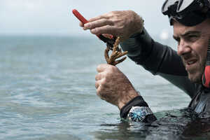 Reef Restoration-Supporting Watches Article Thubnail