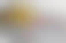 Collaborative Photo Book Services