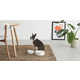 Design-Forward Pet Furniture Image 4