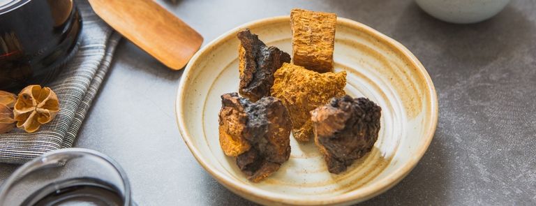 Health-Focused Chaga Tea Ranges