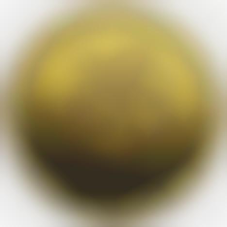 Collectible Arctic Coins