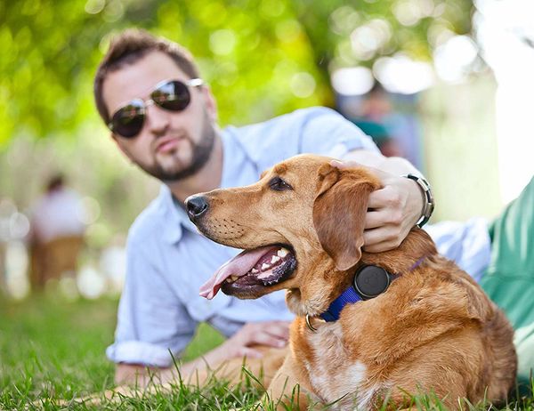 50 Progressive Dog-Specific Products