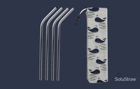 Travel-Friendly Reusable Straws