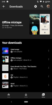 Downloadable Music Libraries Image 3