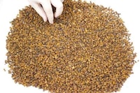 Plant-Based Bacon Bits Image 3