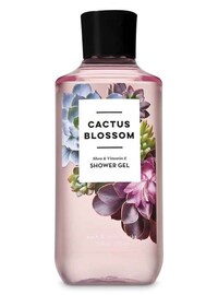 Cactus Body Care Products Image 3