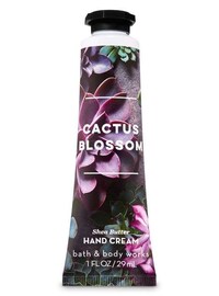 Cactus Body Care Products Image 8