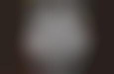 Month-Long Flavor Celebrations