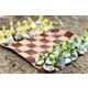 Naturalistic Outdoor Chess Sets Image 1