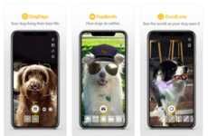 Dog-Centric Social Apps