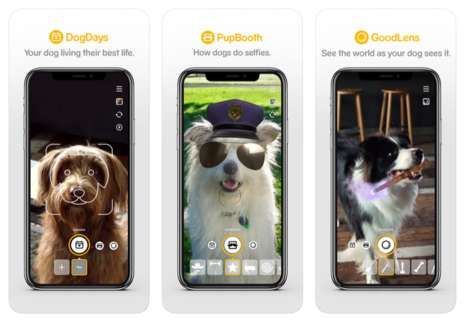 Dog-Centric Social Apps