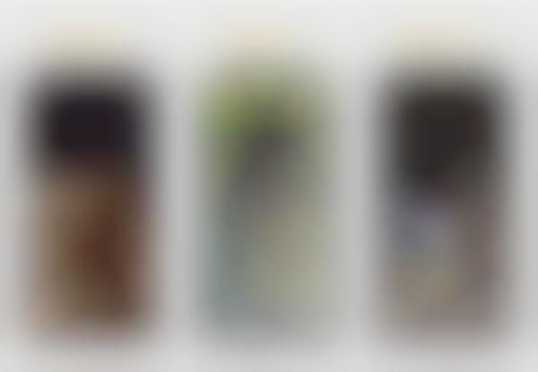 Dog-Centric Social Apps