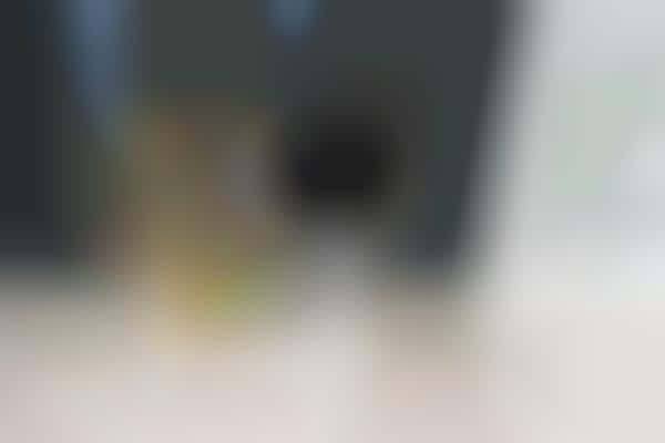 Voice Assistant Security Cameras