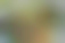 Cauliflower Rice Poke Bowls