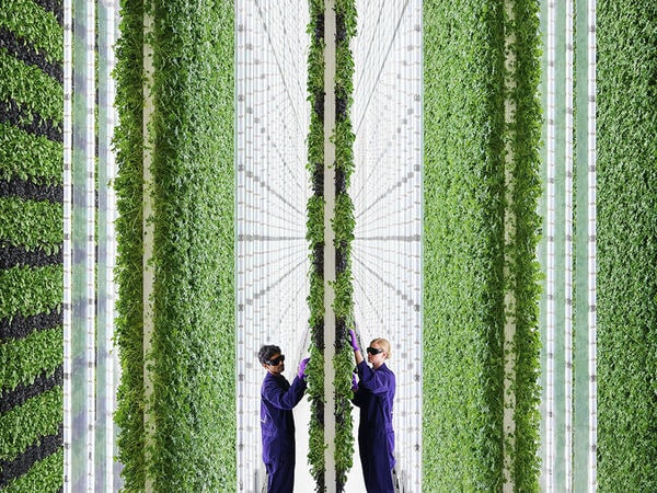 Top 100 Eco Trends in July