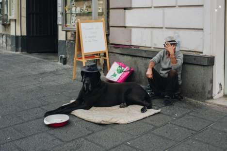 Homeless Pet Initiatives