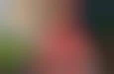 Soda-Topped Soft Serve Treats