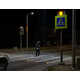 Automated Pedestrian Crossing Systems Image 2
