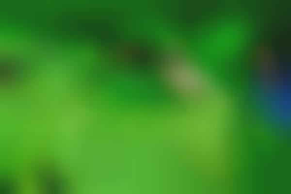 Neon Green Fashion Pop-Ups