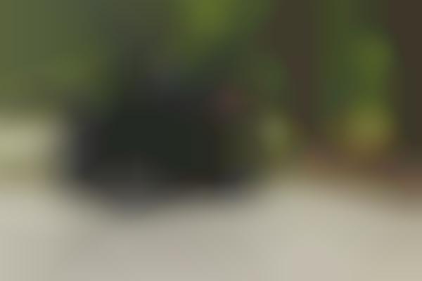 Travel-Friendly Camera Designs