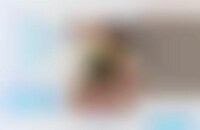 Artificial Intelligence Dog Tracking Image 1