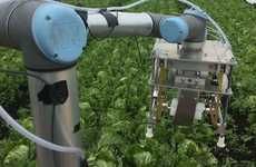 AI-Powered Harvesting Robots