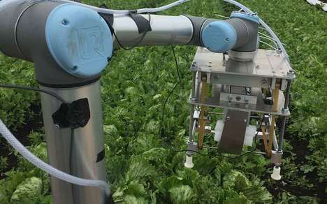 AI-Powered Harvesting Robots
