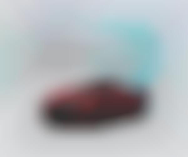 DNA-Determined Car Colors