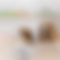AI-Powered Pet Companions Image 1