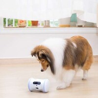 AI-Powered Pet Companions