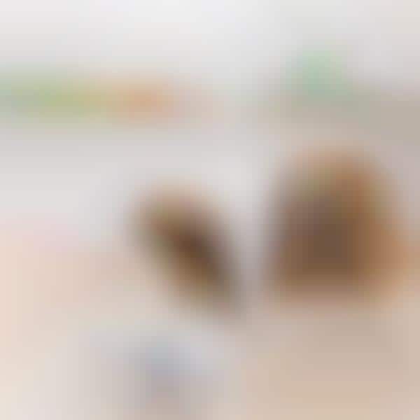 AI-Powered Pet Companions