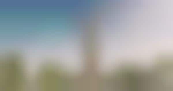 Naturalistic European Observation Towers