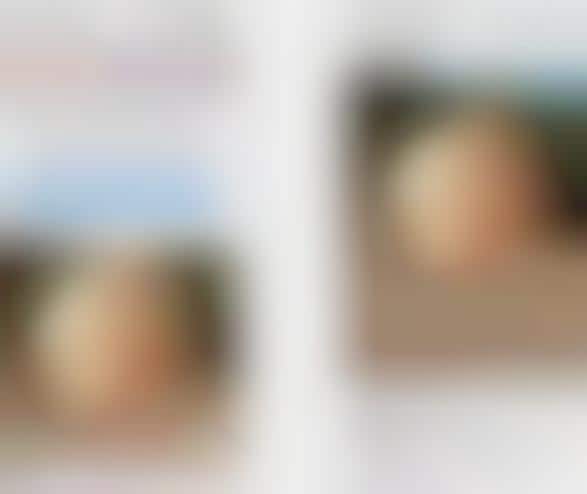Social Media Test Expansions