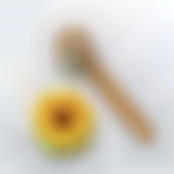 Daily Facial Dry Brushes