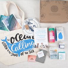 Eco-Conscious Subscription Boxes Article Thubnail